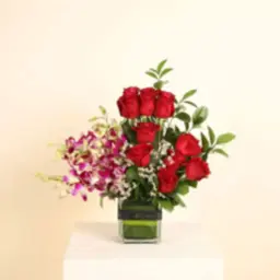 قلبي معاك
